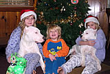 Christmas with the dogs.